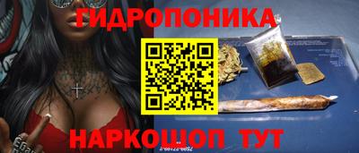spice Аша